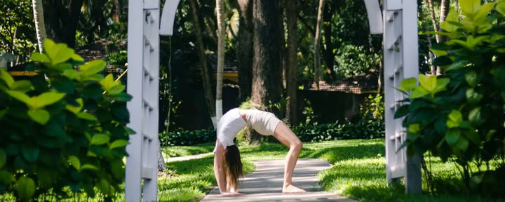 Bienestar Digestivo y Salud Intestinal con Yoga Terapéutico Agni Dipanam Yoga Chikitsa
