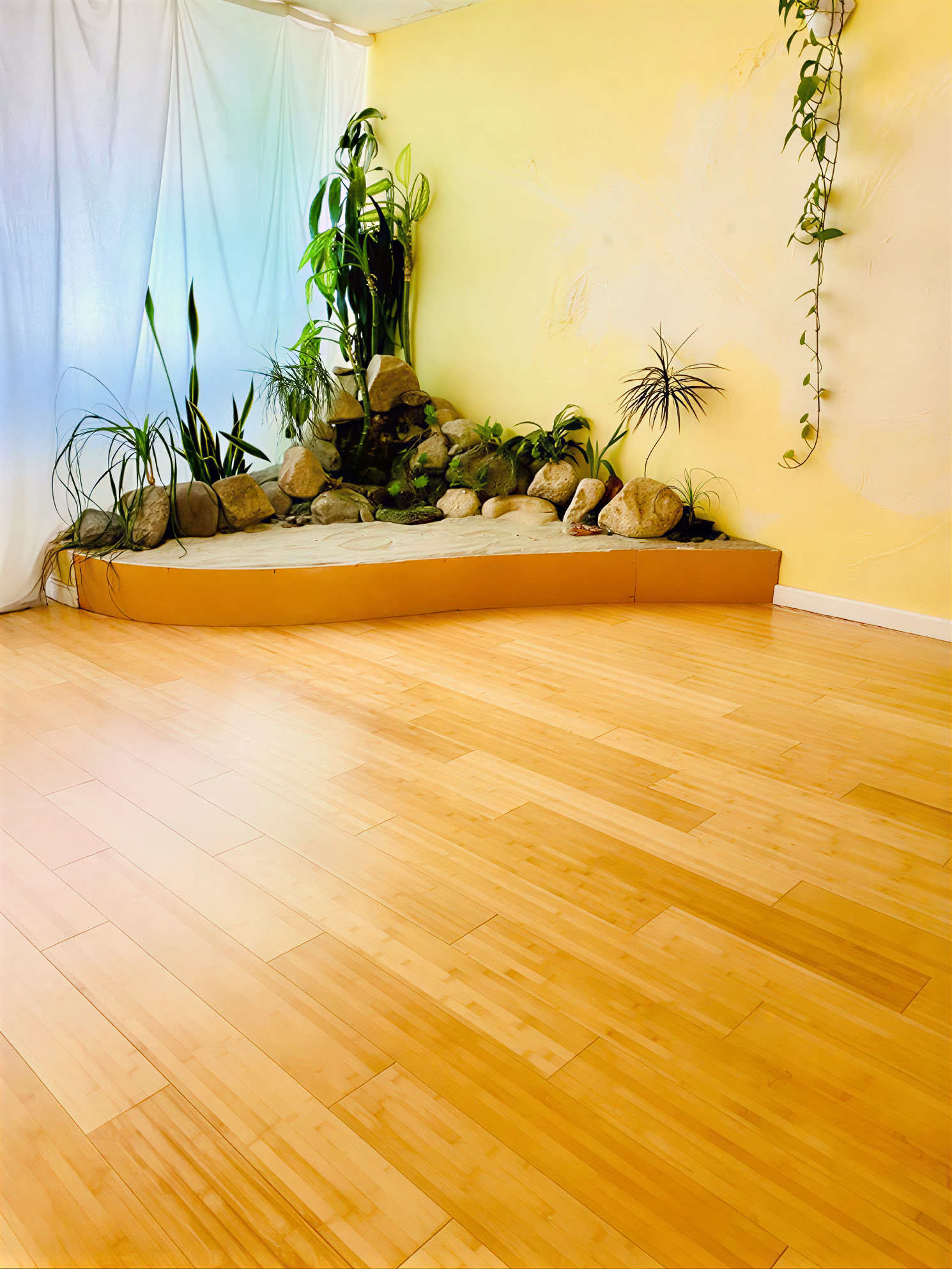 Yin Yoga