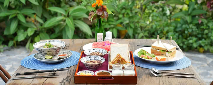 Comida en el Bosque en Thong Nguyen