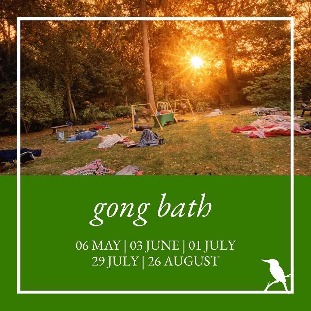 Wellbeing Wednesdays - Baño de Gong