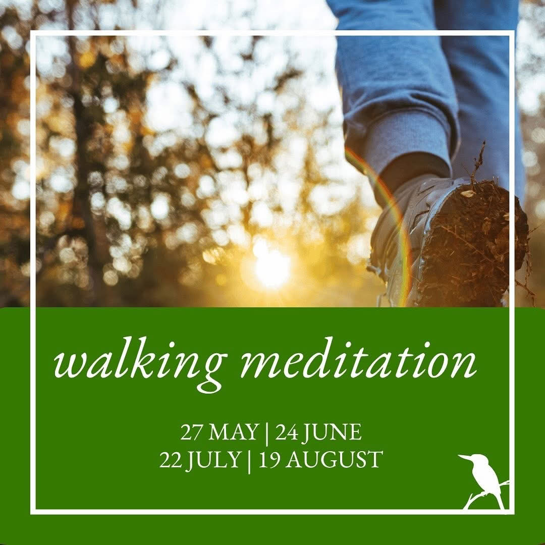 Wellbeing Wednesdays - Meditación caminando
