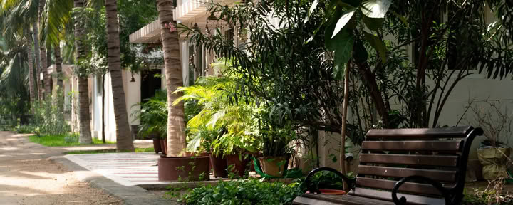 Retiro de sanación