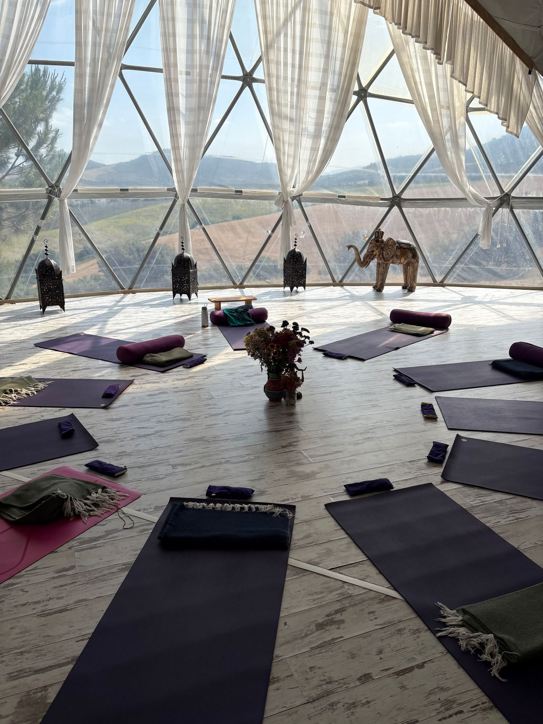 Fundamentos de Yoga