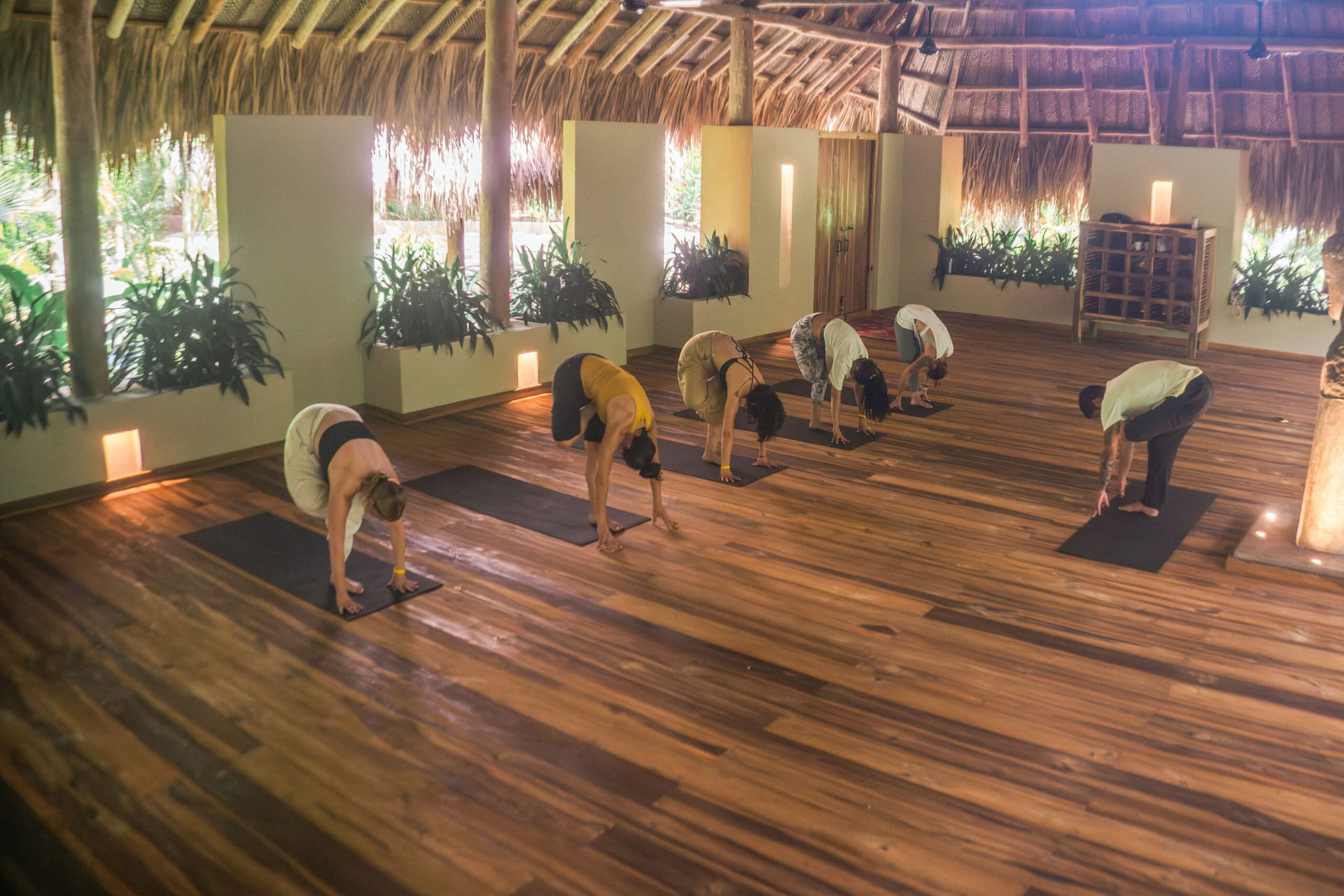 Mindfulness Retiro: Cultiva la calma y la presencia