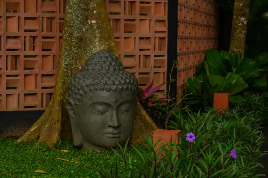 Yoga y Meditación