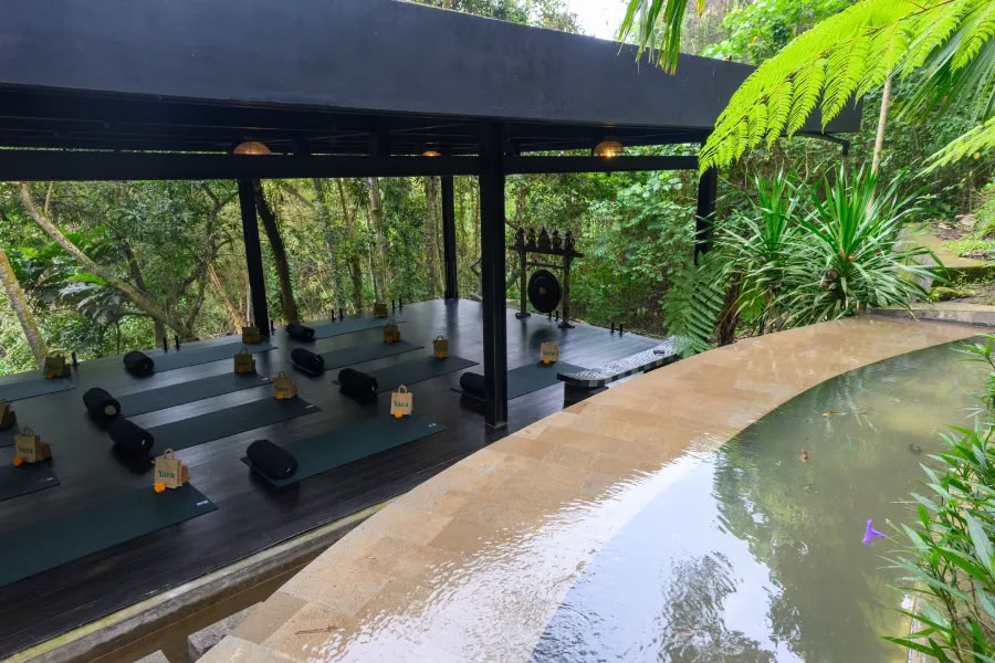 Yoga y Meditación