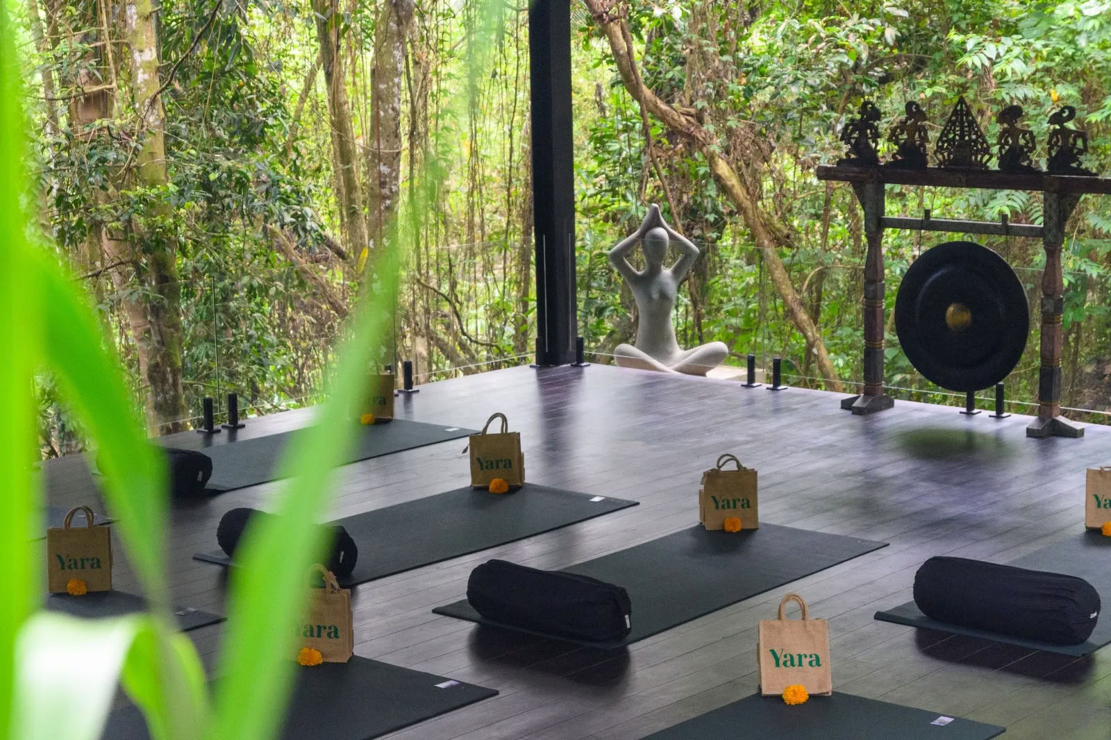 Yoga y Meditación