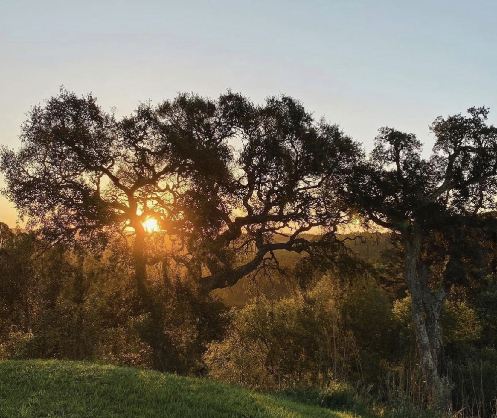 Retiro de Yoga Reconexión en Portugal