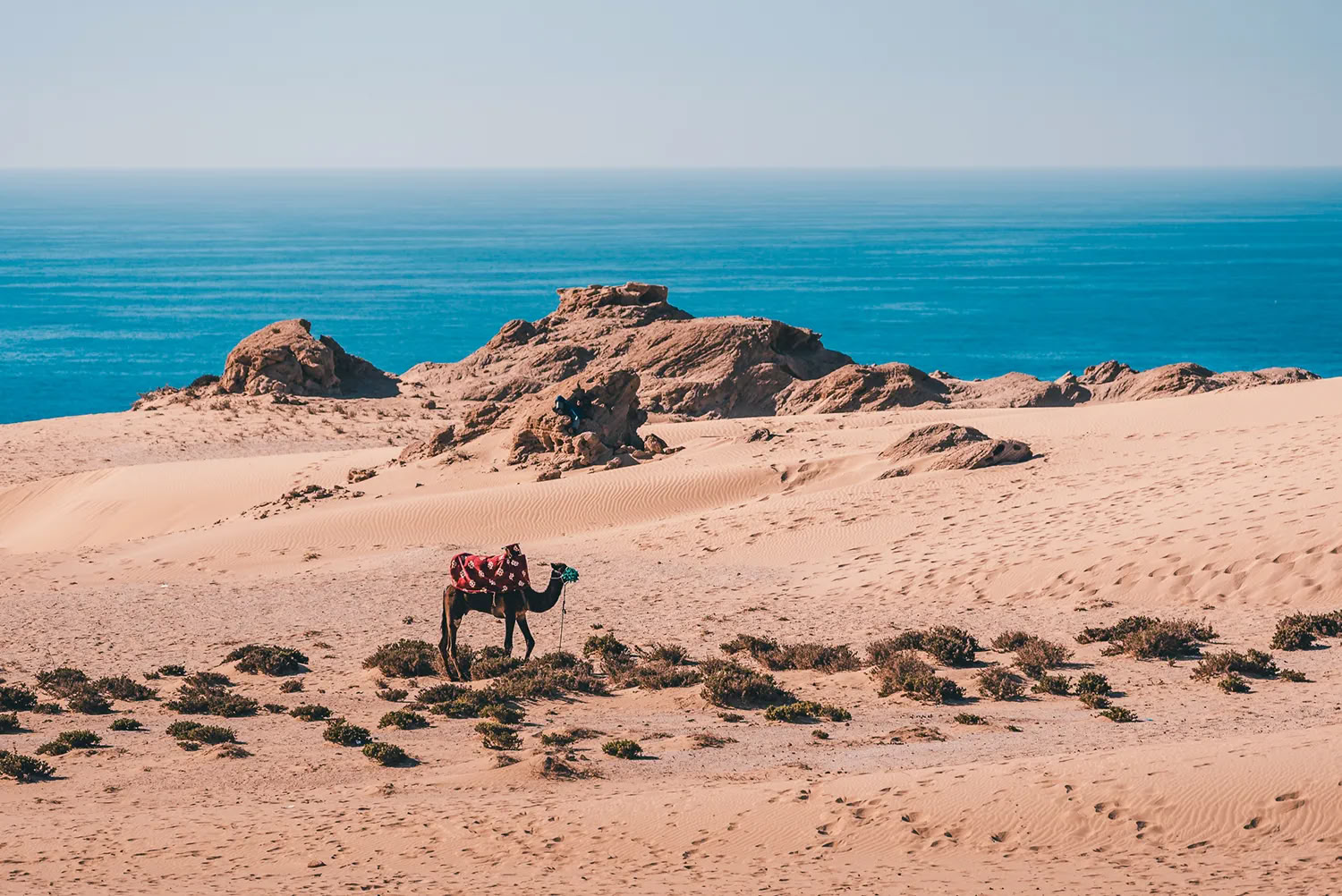 7 días de retiro de yoga, meditación y surf en Marruecos