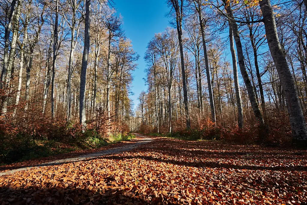 Retiro de meditación y yoga: la acogedora escapada de noviembre