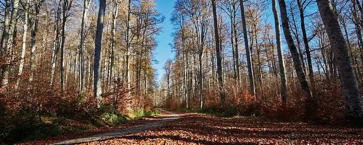Retiro de meditación y yoga: la acogedora escapada de noviembre