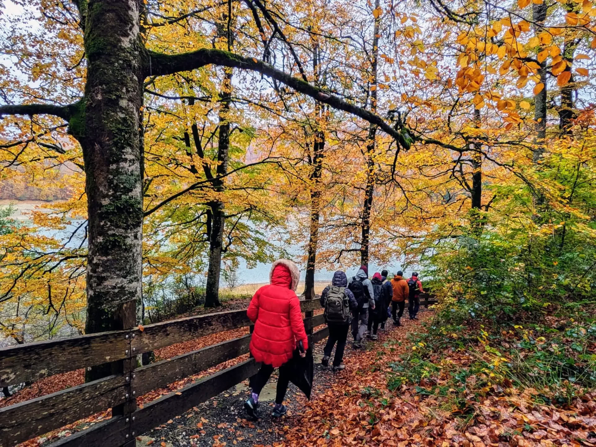 Santuario de yoga y meditación: un retiro de recogimiento en el bosque de Irati