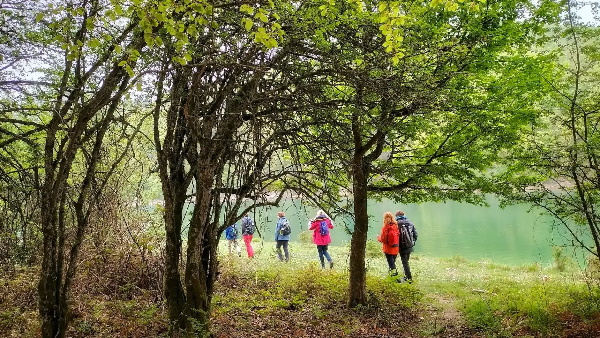Santuario de yoga y meditación: un retiro de recogimiento en el bosque de Irati