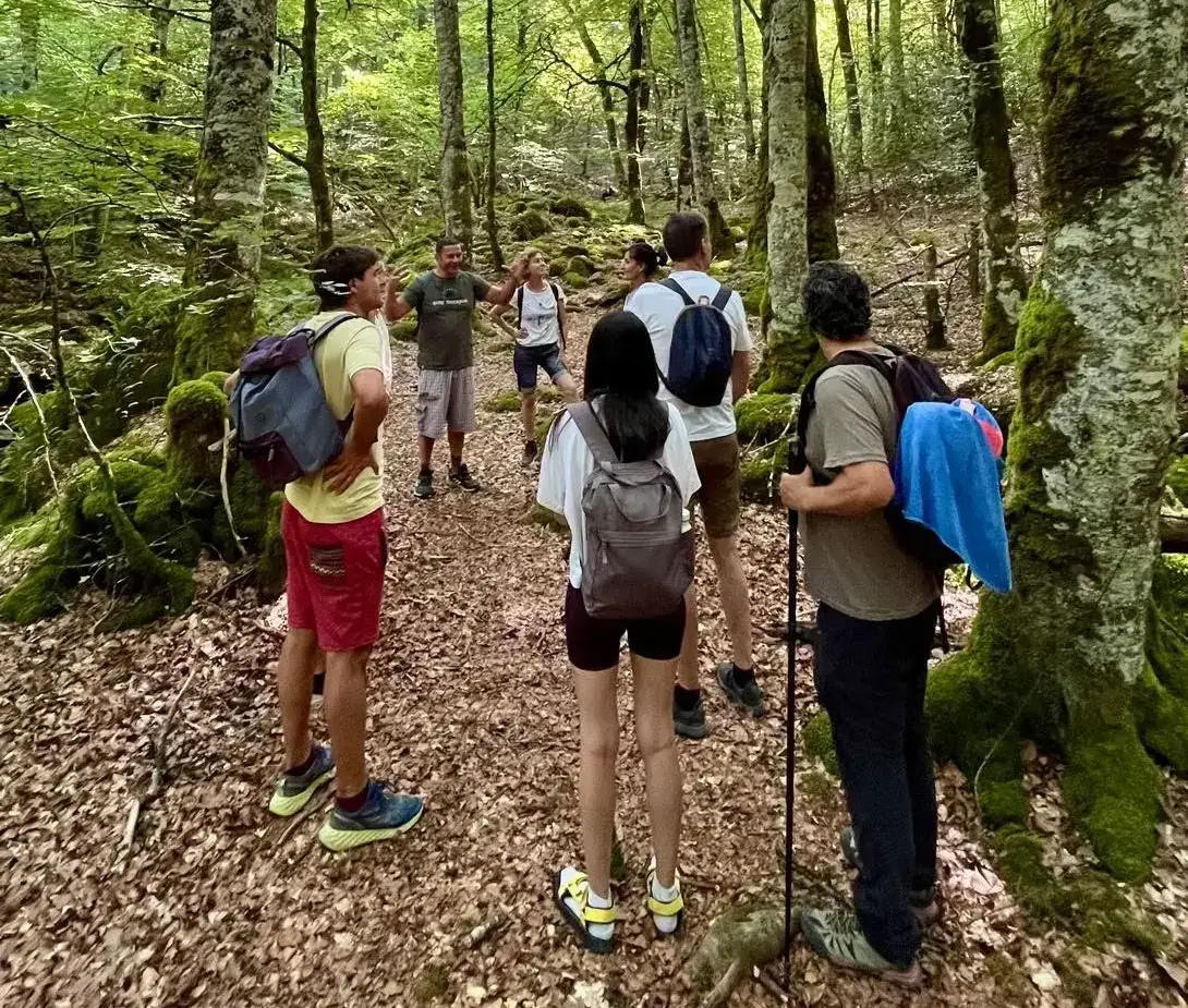 Retiro de yoga de octubre: La experiencia del bosque dorado