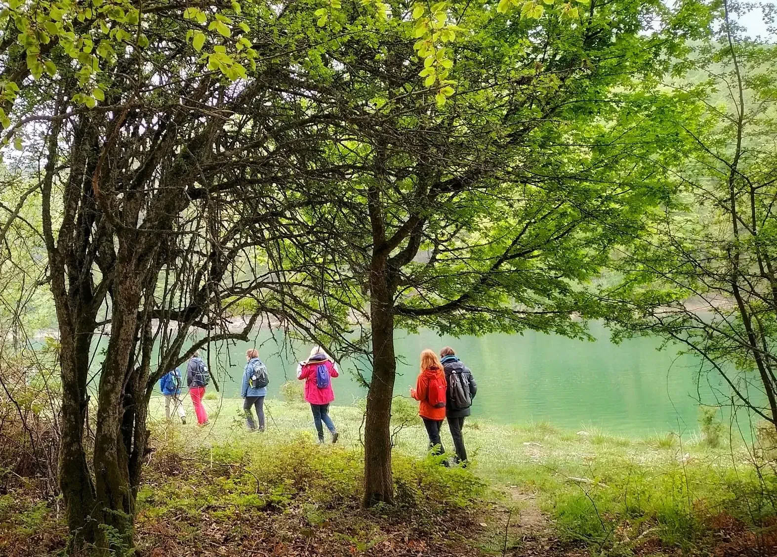 Renueva y Reconecta: Retiro de Yoga y Meditación en los Pirineos