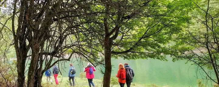 Renueva y Reconecta: Retiro de Yoga y Meditación en los Pirineos