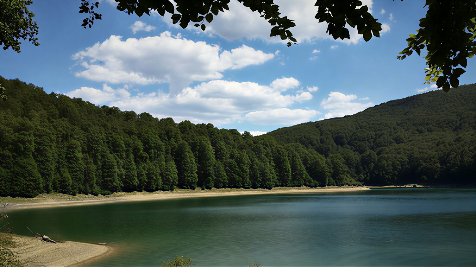 Retiro de yoga y naturaleza: Inmersión en el bosque dorado