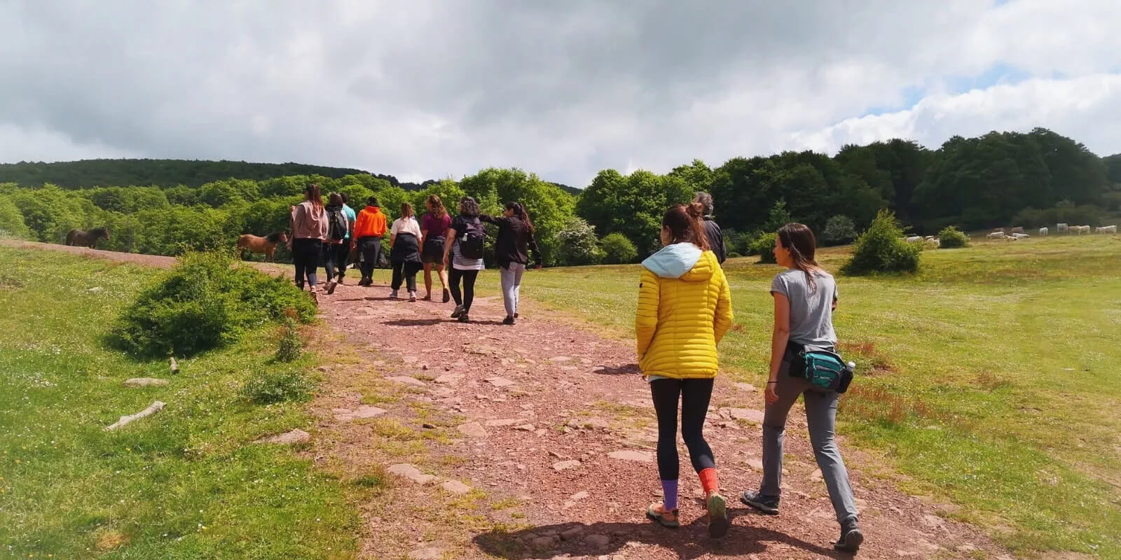 Retiro de yoga y naturaleza: Inmersión en el bosque dorado