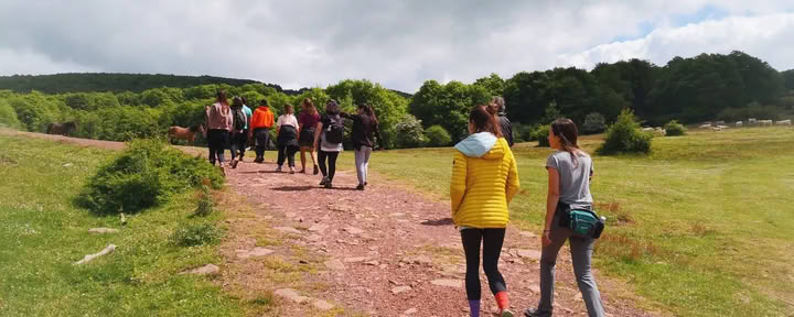 Retiro de yoga y naturaleza: Inmersión en el bosque dorado