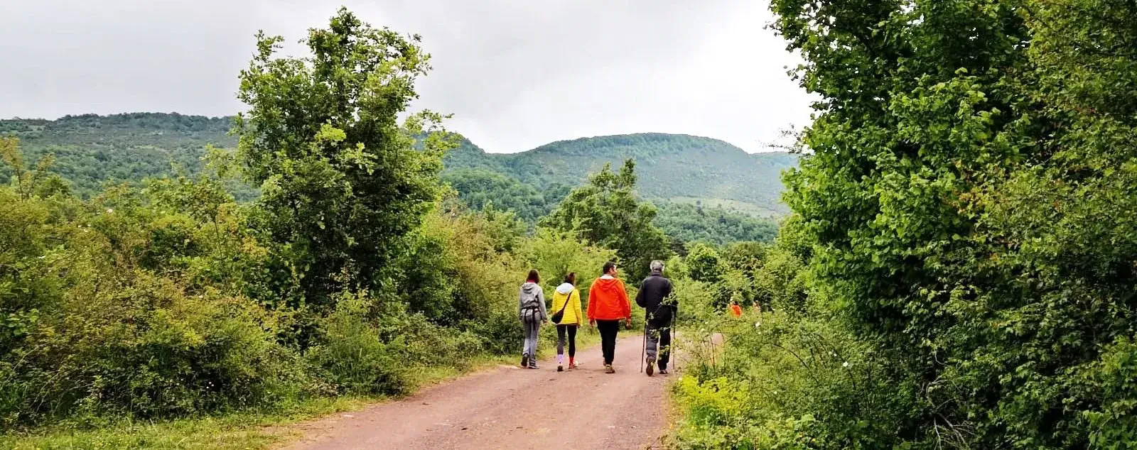 Yoga y vacaciones en la naturaleza en España: la escapada a los Pirineos