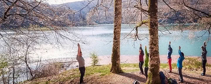 Retiro de Yoga de Octubre Profundo: Descanso y Raíces