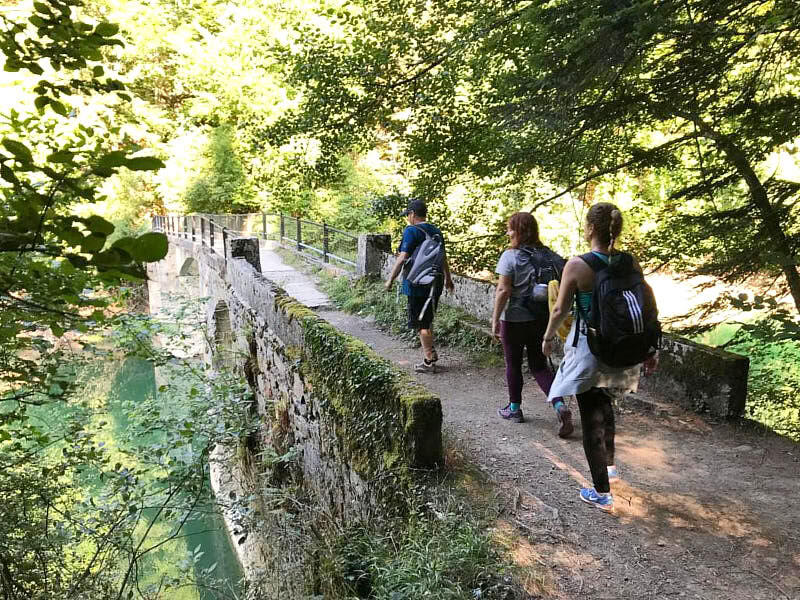 Retiro de Yoga del Puente de Mayo: Bosque y Renovación