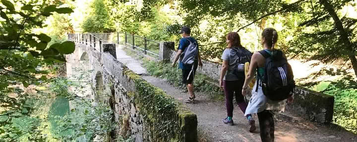 Retiro de Yoga del Puente de Mayo: Bosque y Renovación