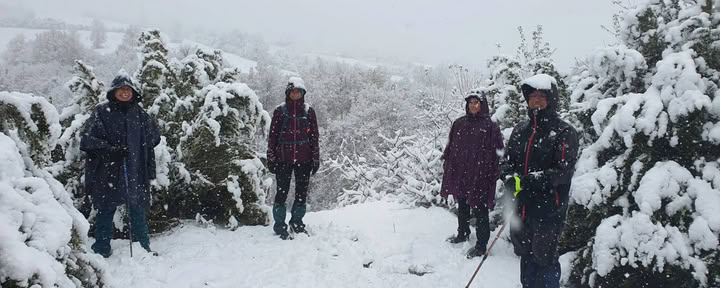 Retiro de bienestar invernal: encuentra tu silencio interior en los Pirineos