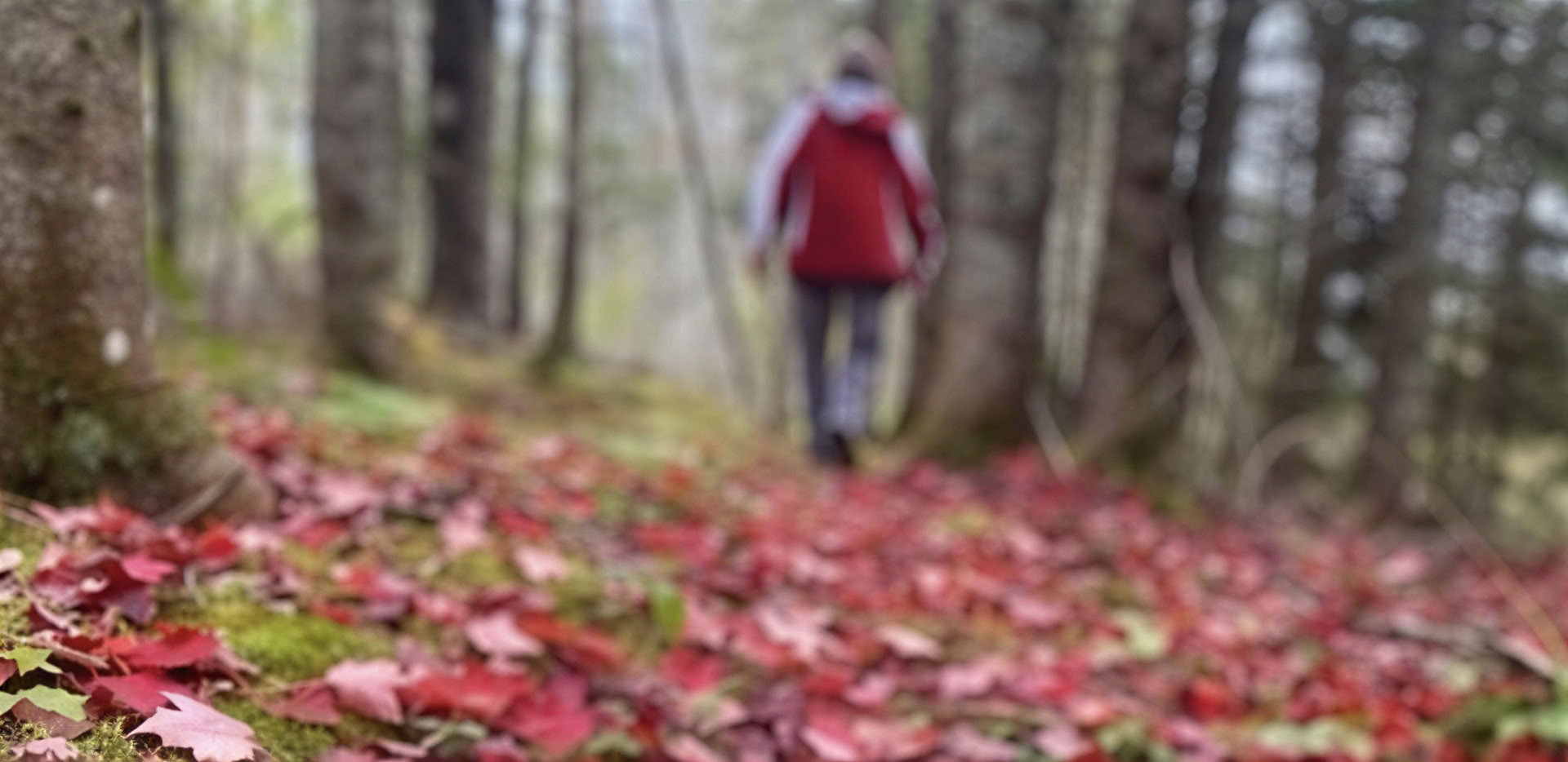 Reencuadra tu enfoque: un retiro de fotografía consciente