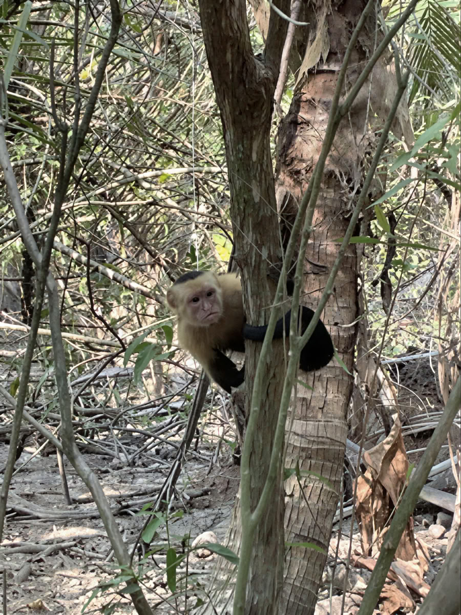 Retiro de aventura en la naturaleza - Costa Rica