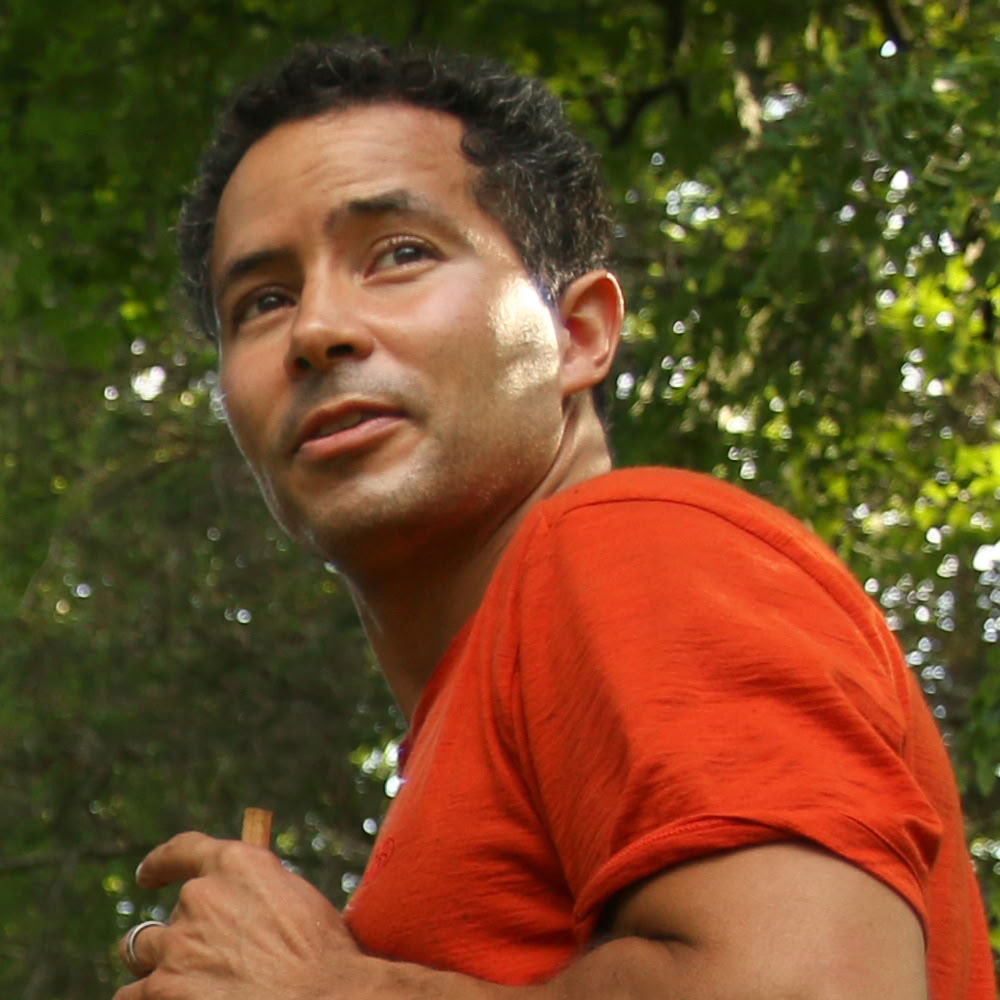 Baño de bosque