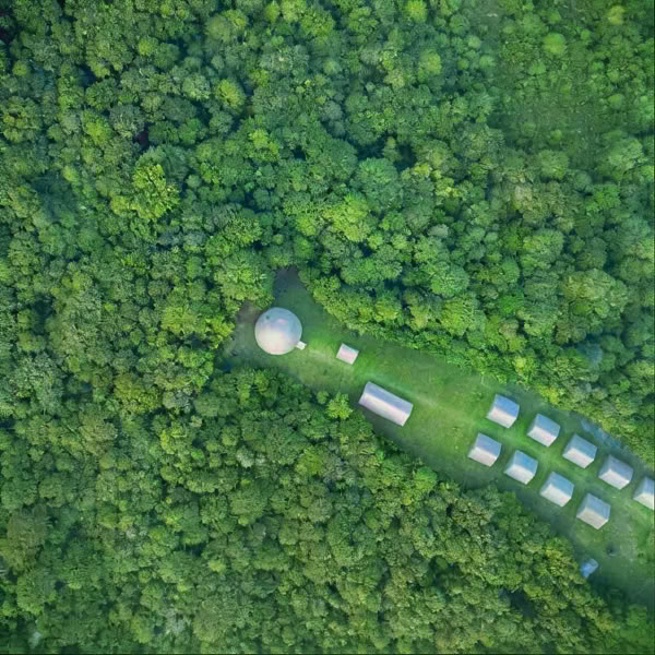 Inmersión en Ayahuasca