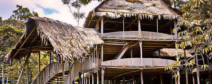 Ceremonia tradicional de ayahuasca