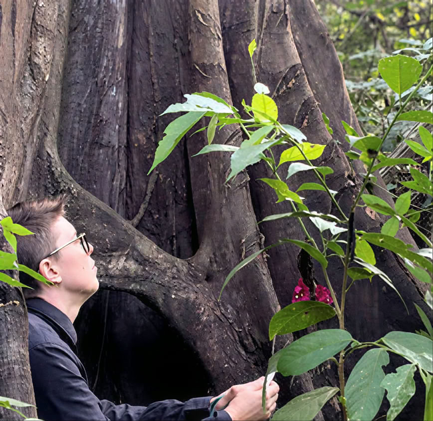Introducción de 5 días a la ayahuasca y la medicina vegetal amazónica