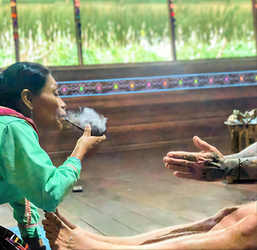 Introducción de 5 días a la ayahuasca y la medicina vegetal amazónica