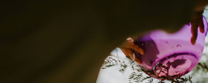 Talleres de Ayahuasca - 8 días