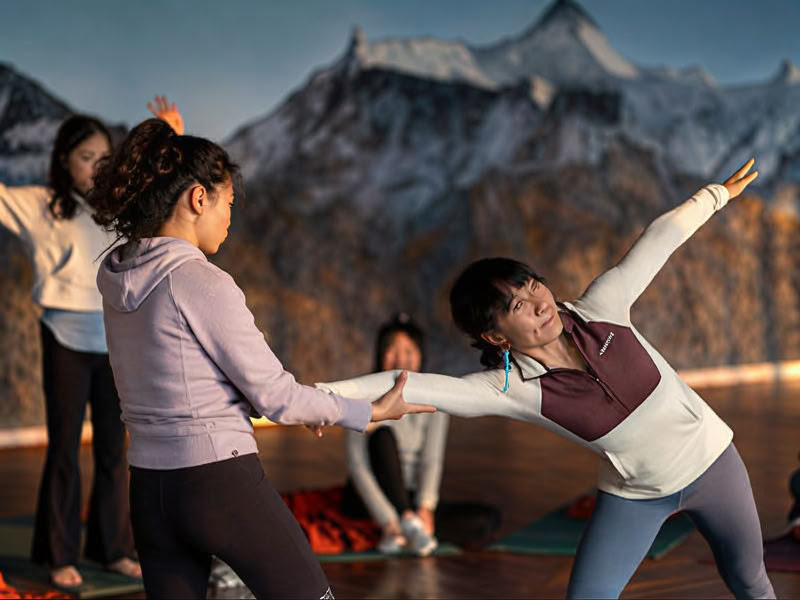 Programa de yoga para la vida
