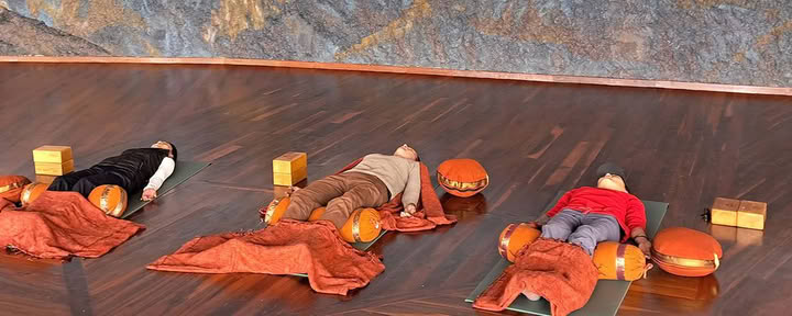Programa de yoga para la vida