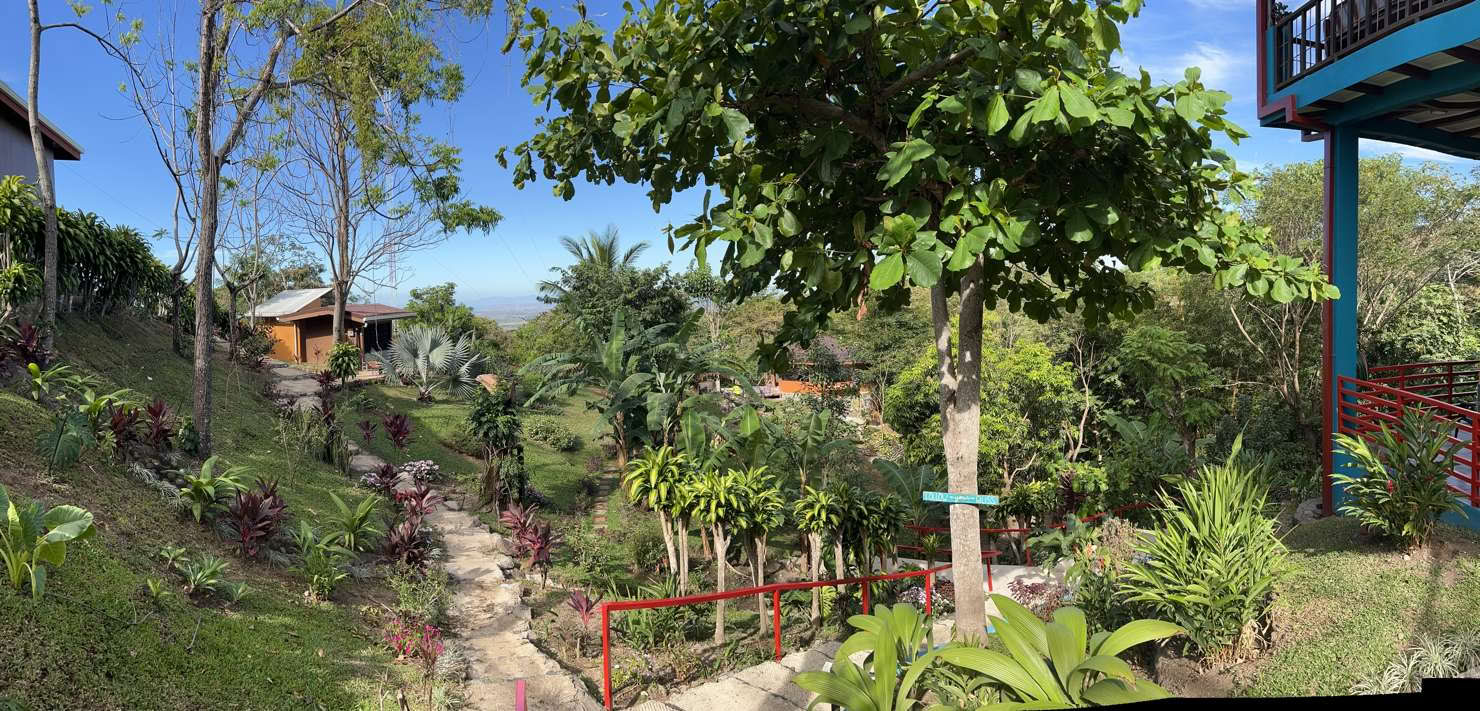 Retiro espiritual de ayahuasca en Costa Rica