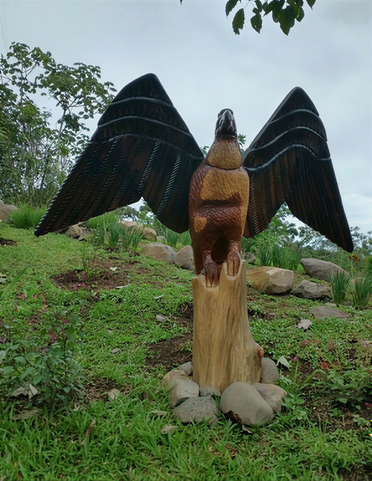 Retiro espiritual de ayahuasca en Costa Rica