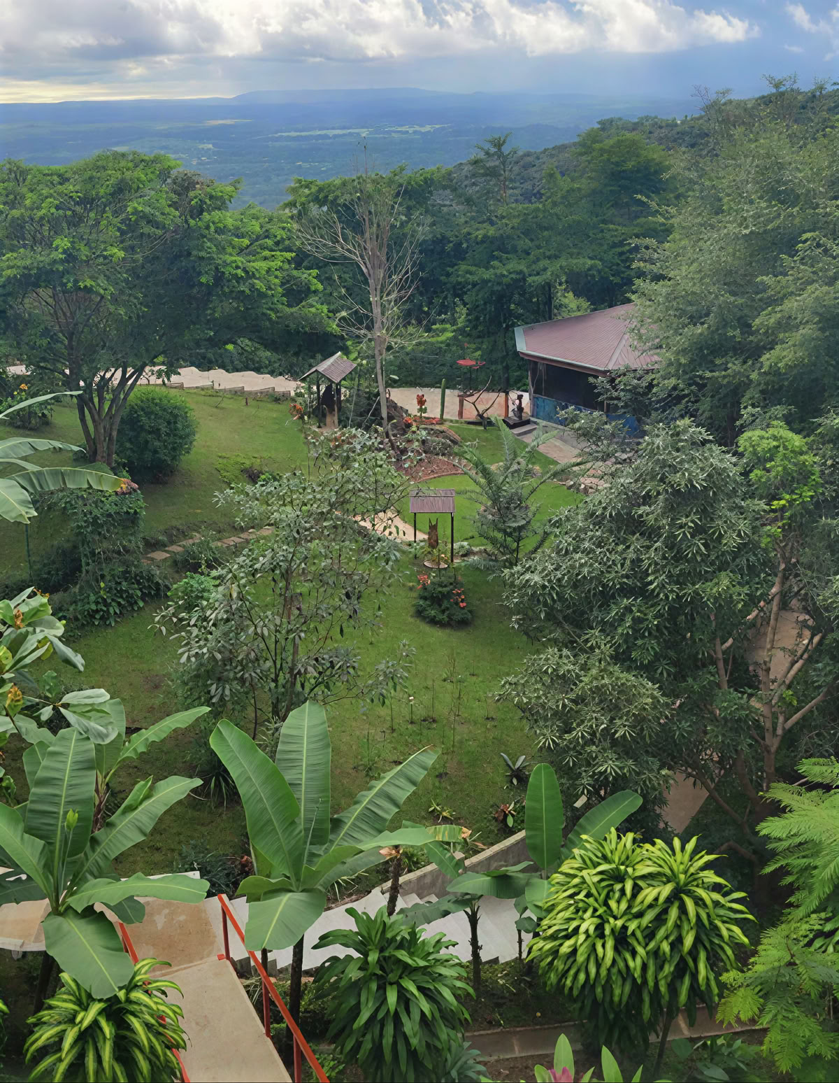 Retiro espiritual de ayahuasca en Costa Rica