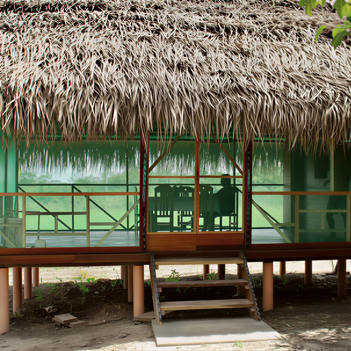 Retiro de ayahuasca de 3 semanas en Perú