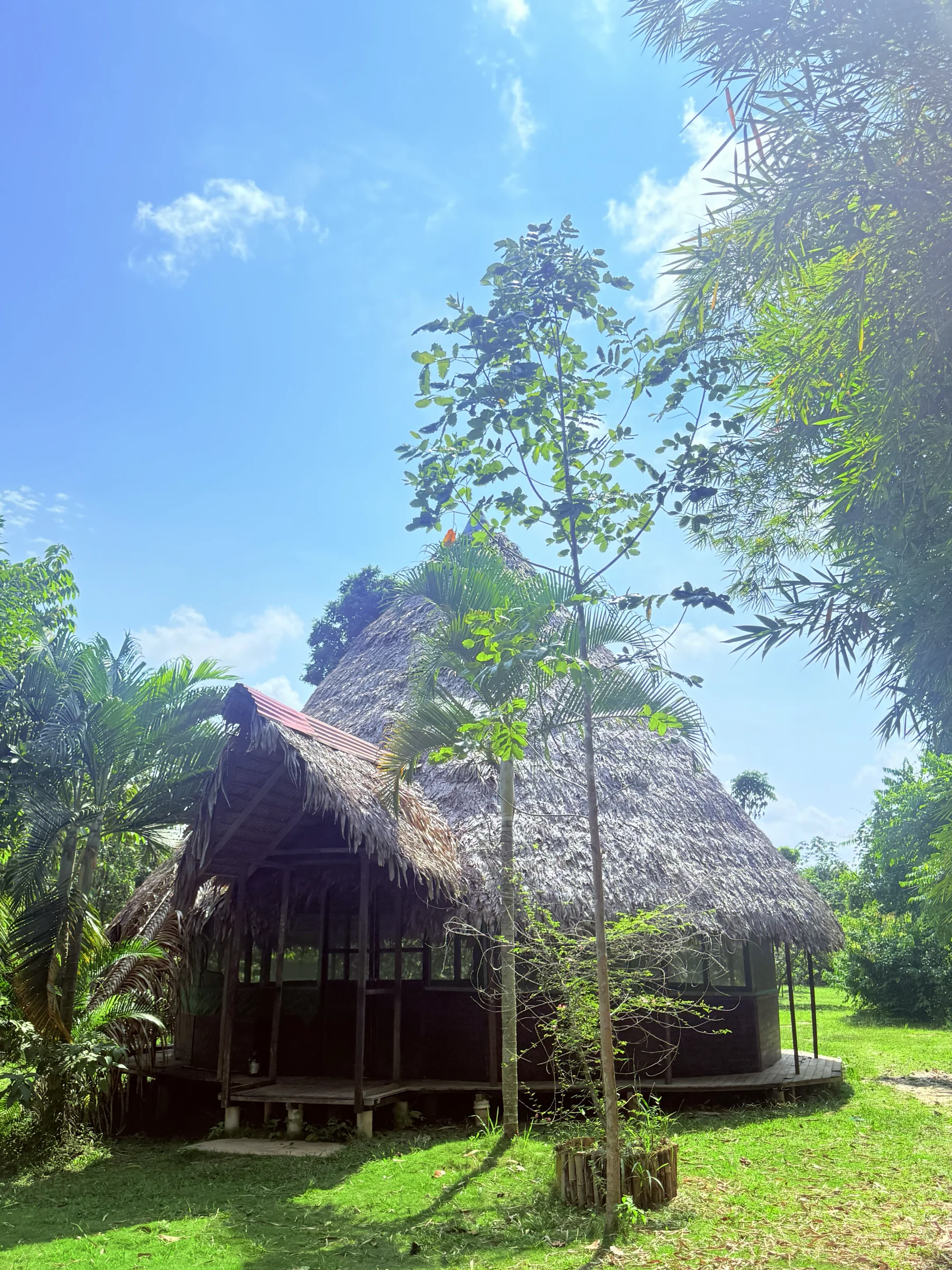 Transformación de 3 semanas con ayahuasca