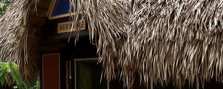1 semana de transformación con ayahuasca