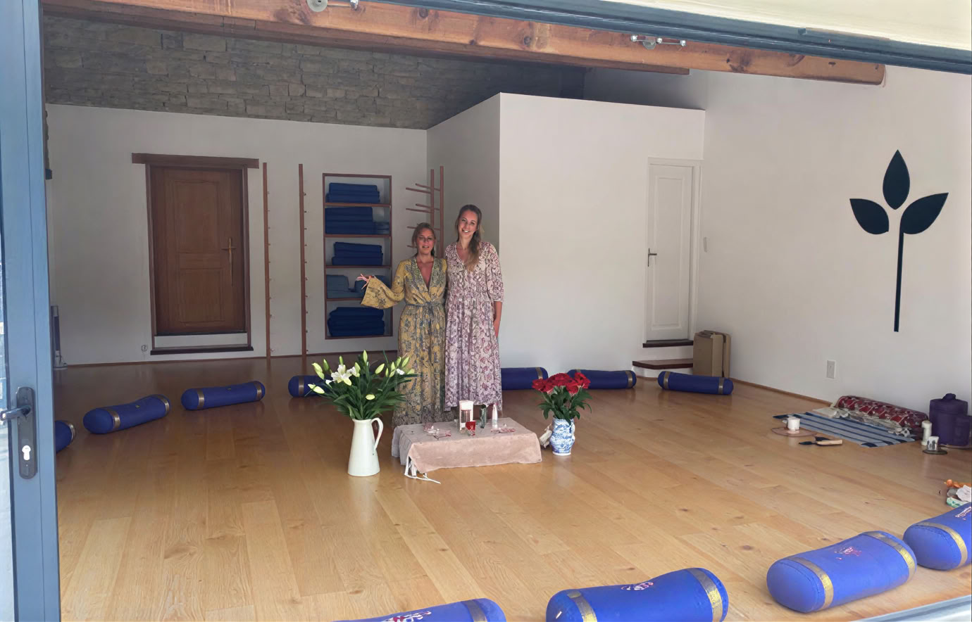 Retiro intensivo de yoga y meditación: introducción a los Yoga Sutras de Patanjali, módulo 1 de la formación internacional de profesores de Raja Yoga