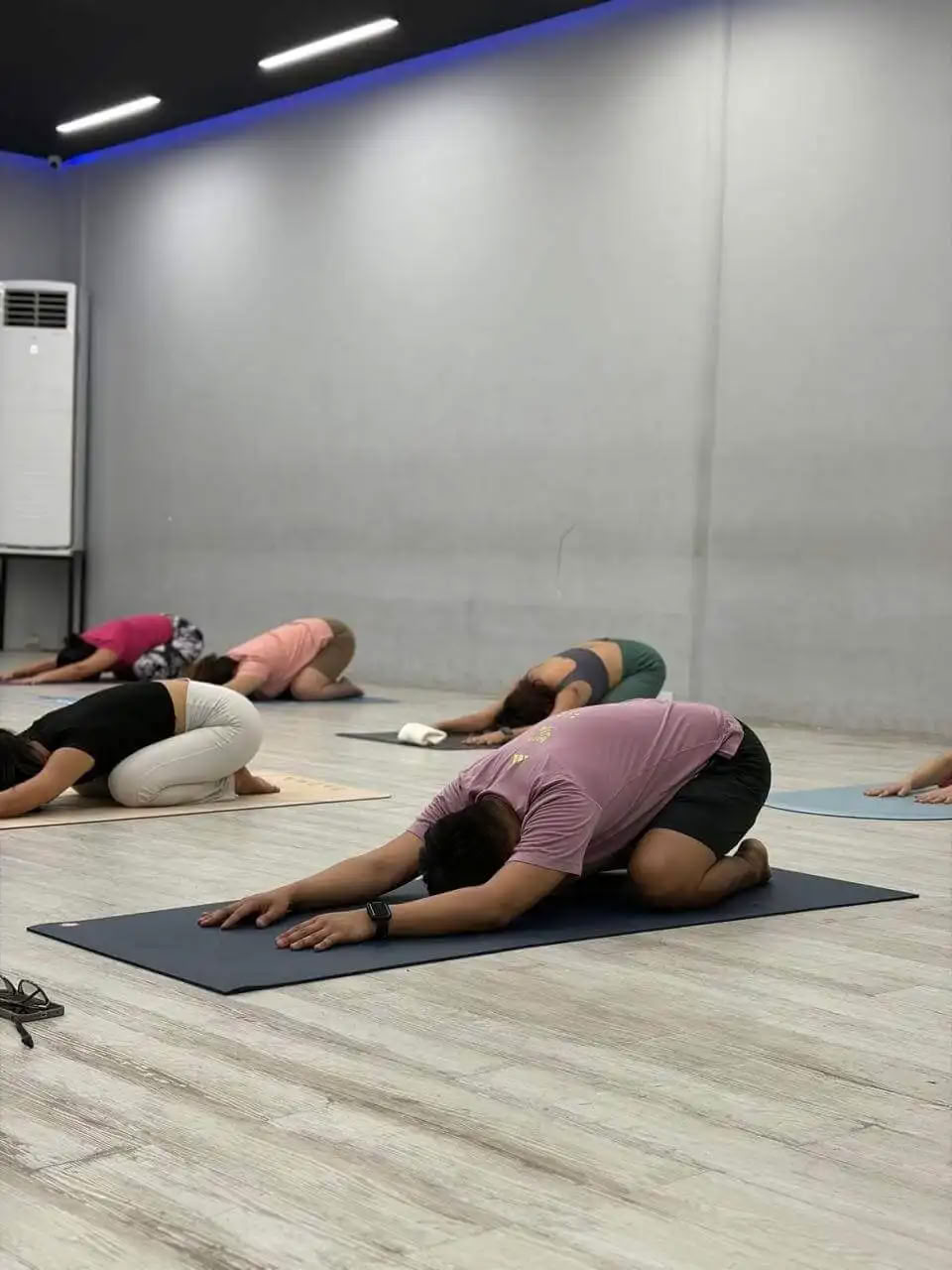 Formación de Profesores de Yoga de 100 Horas en Rishikesh