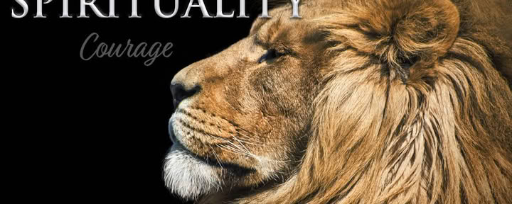Espiritualidad primigenia 6: El valor