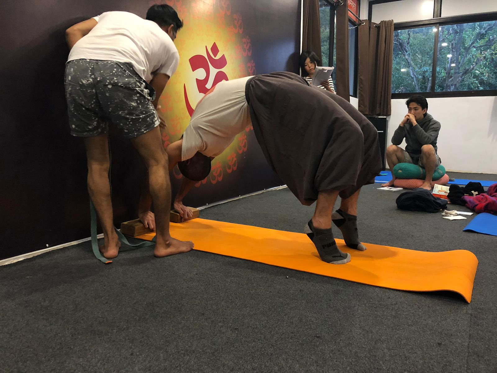 Formación de Profesores de Yoga de 300 Horas en Rishikesh