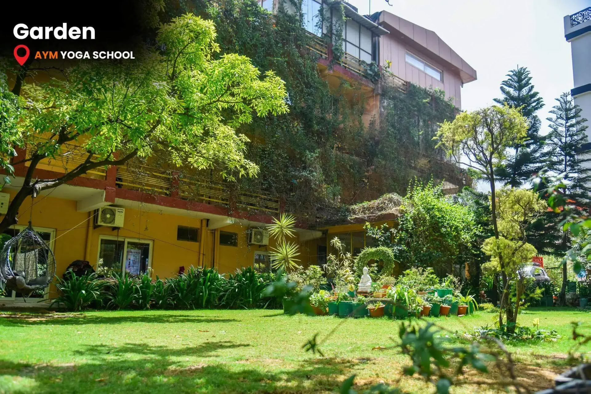 Formación de Profesores de Yoga de 100 Horas en Goa