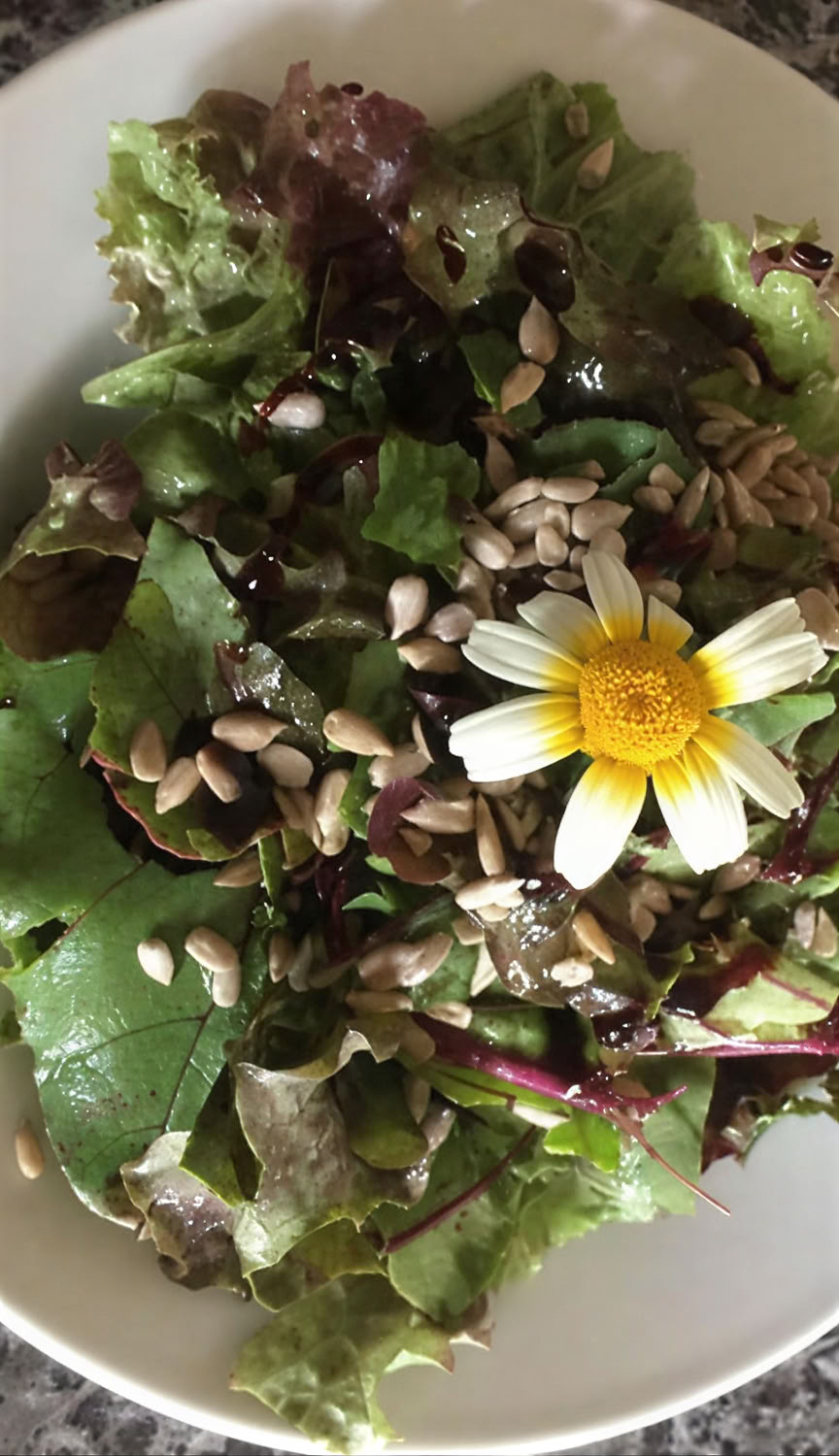 Retiro inmersivo de sanación con Ayurveda y yoga en la naturaleza de 7 días